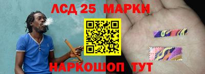 индика Пугачёв