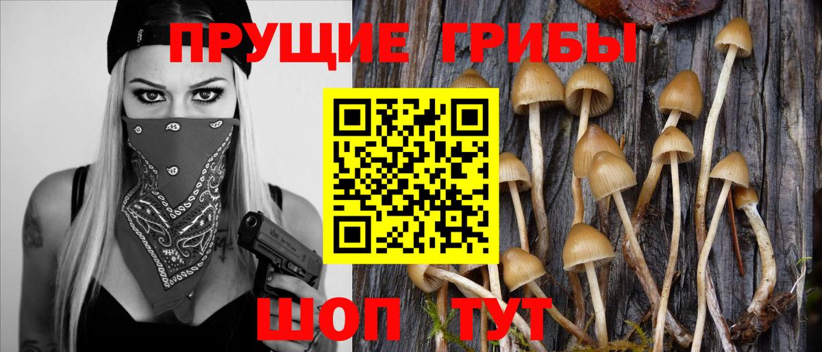 Галлюциногенные грибы Cubensis  Псилоцибиновые грибы ЛСД  Вход с VPN  Белорецк 